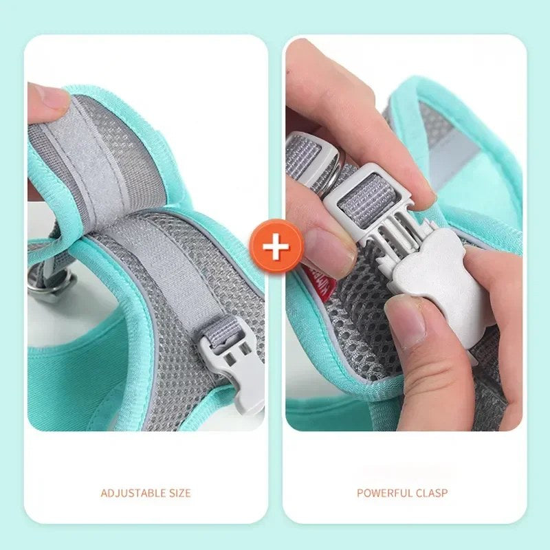 alishop:31dedd01fa6b