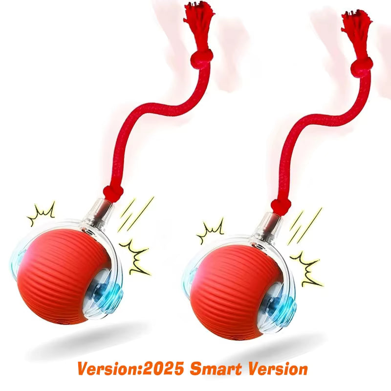 alishop:6f017f8bc0f1