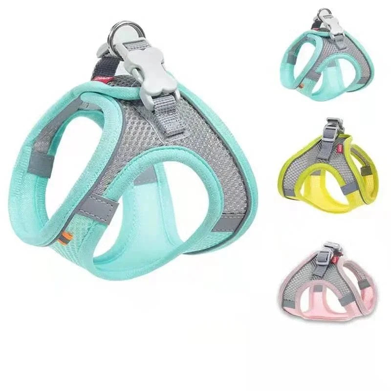 alishop:2e820d87921e
